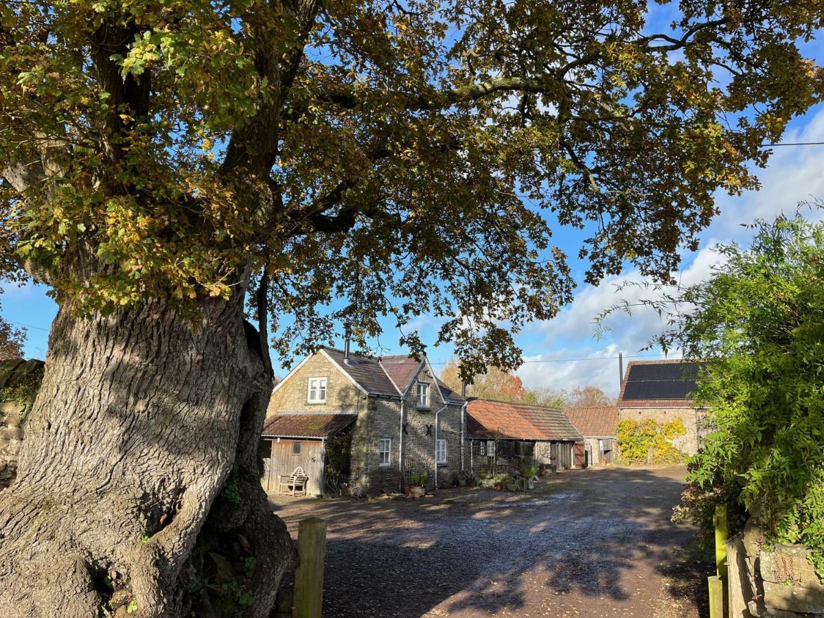 The Bothy At Oak Farm Usk Exterior foto